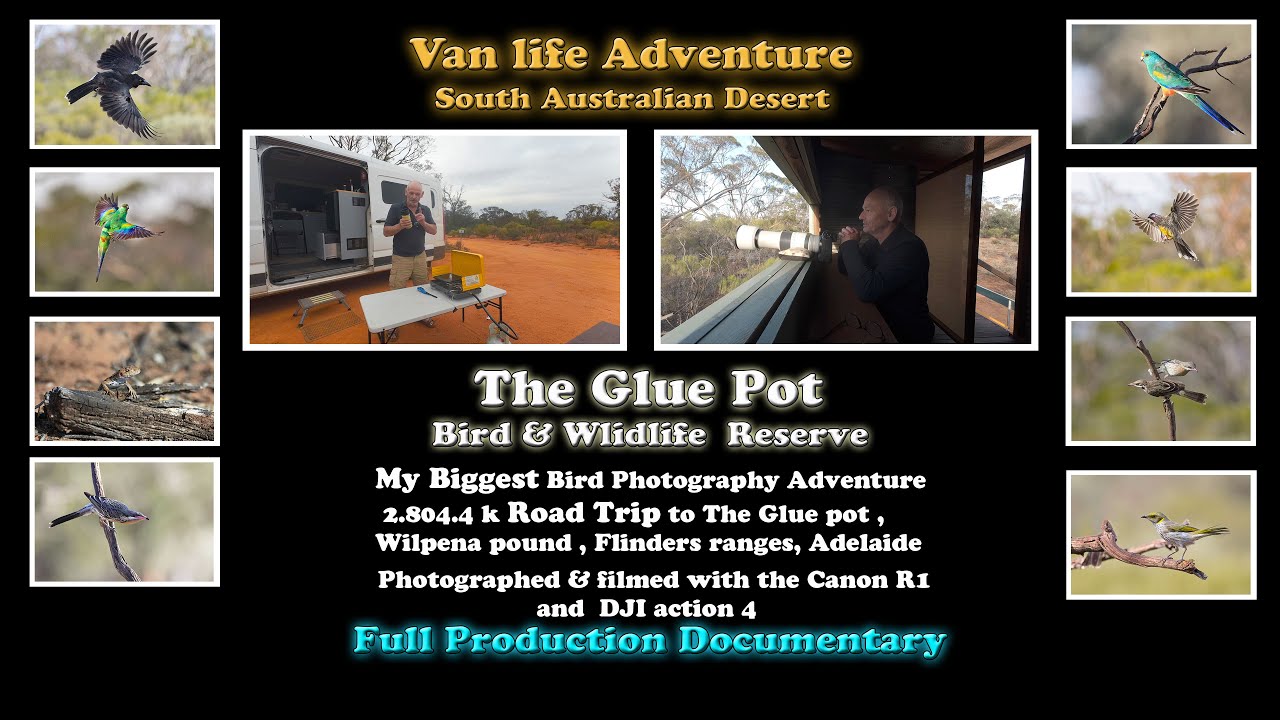 Bird photography Road trip Adventure. The Glue Pot SA Desert