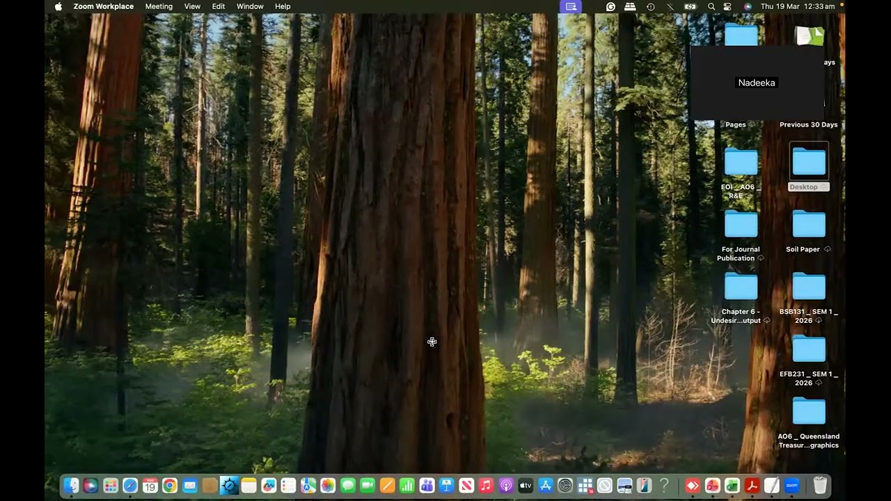 How to Install the RealStatistics Add in on a MacBook