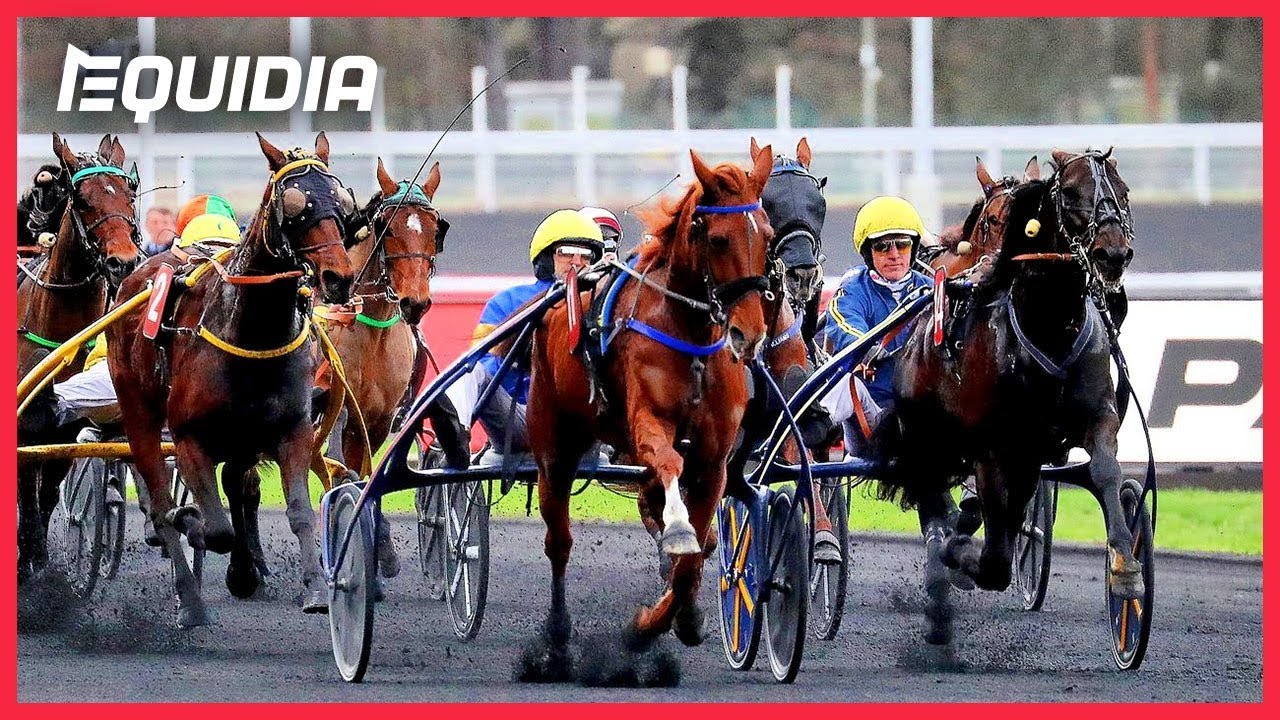 PRIX DE BELGIQUE 2019 | Bird Parker | Vincennes | Groupe 2