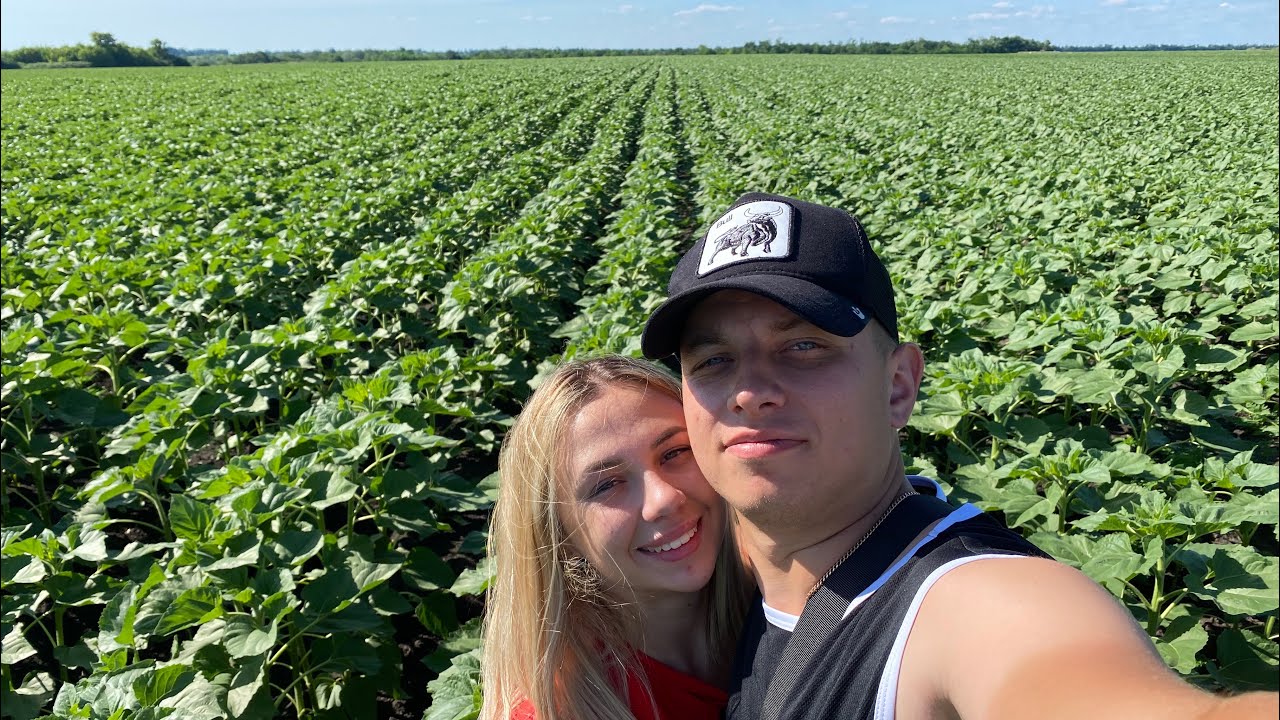 Обʼїзд полів🌱🌻 сою покрутило, гусінь, бурʼян🤬 відпочинку не буде, потрібно працювати 👍