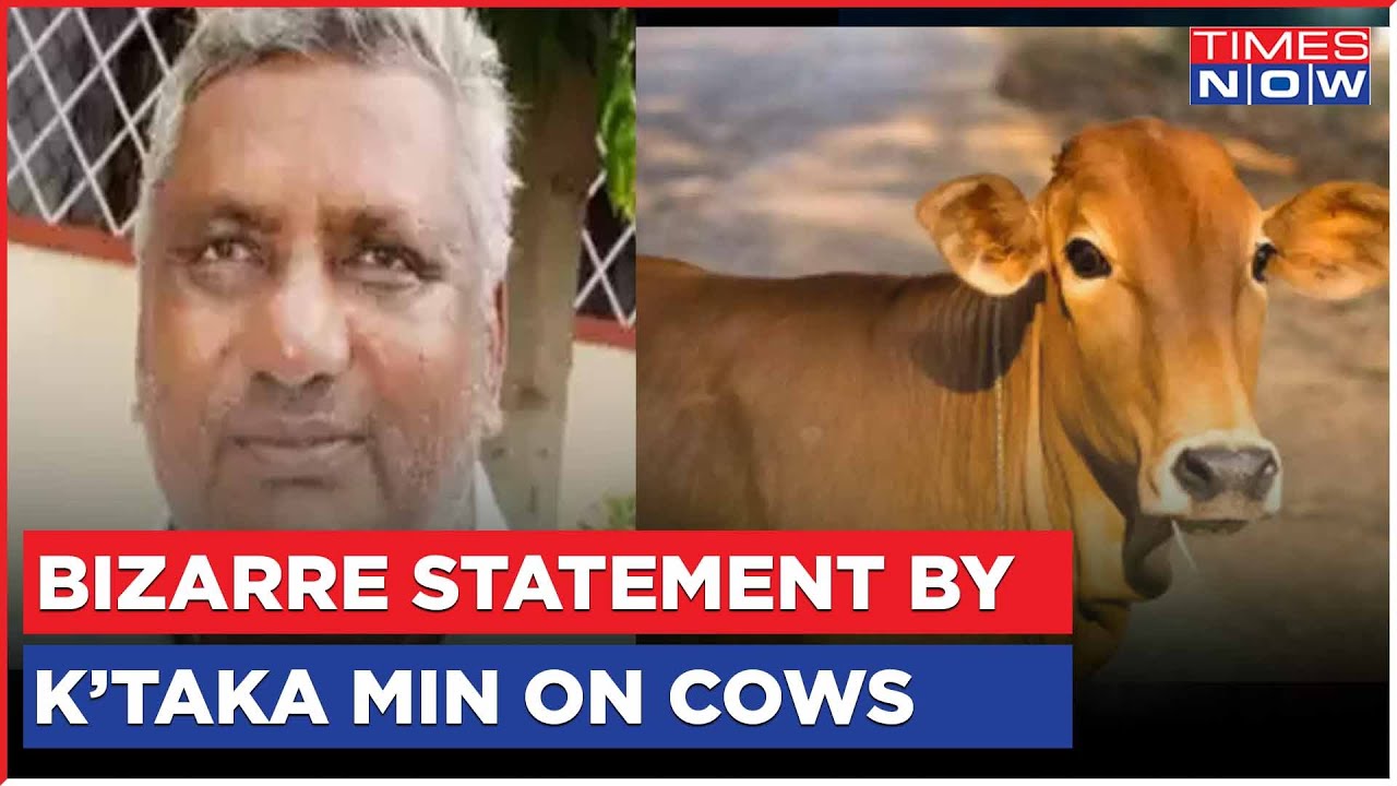 Bizarre Statement By Karnataka Minister K Venkatesh; Says 'What's Wrong In Slaughtering Cows'