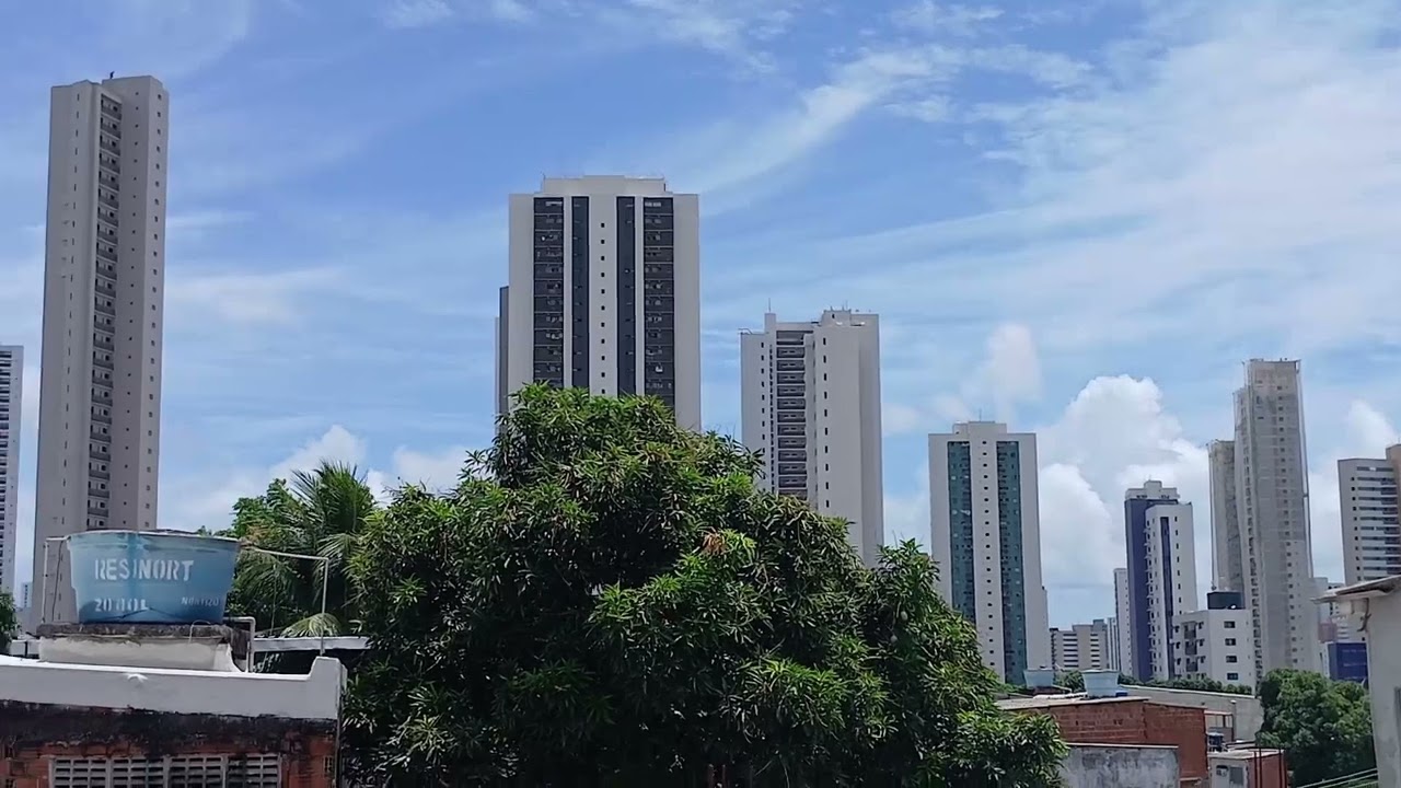 11 de fevereiro de 2026