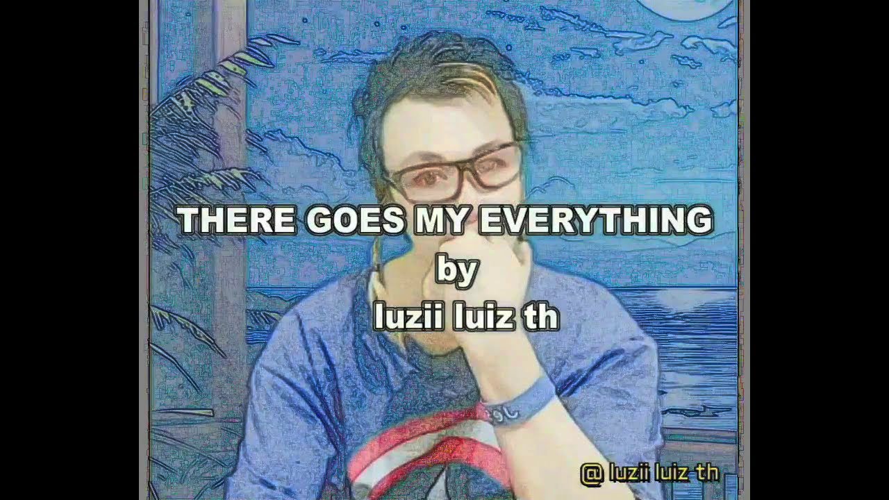 THERE GOES MY EVERYTHING- cover-by Luzii luiz th