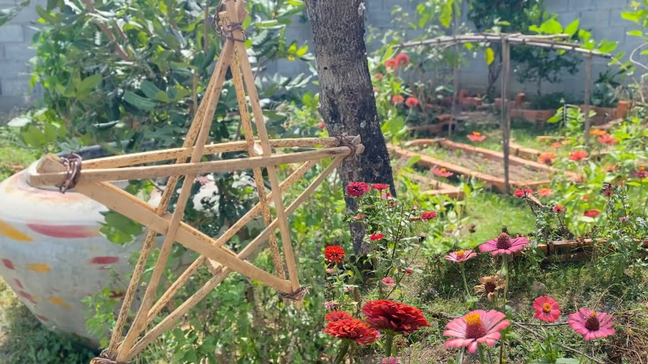 In the garden, plants reduce stress. Clean . Watering crop make me relax