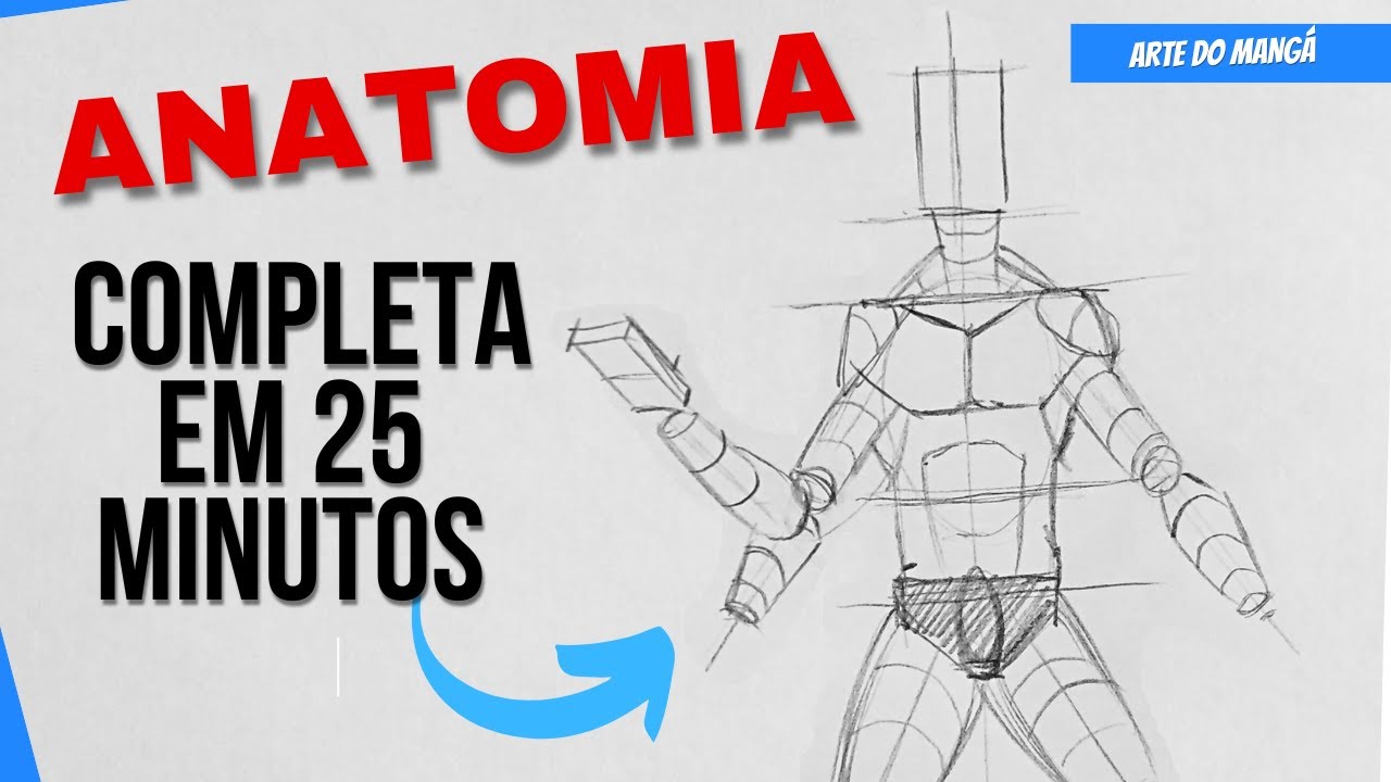 Como Desenhar o CORPO COMPLETO passo a passo ( Anatomia para  iniciantes)