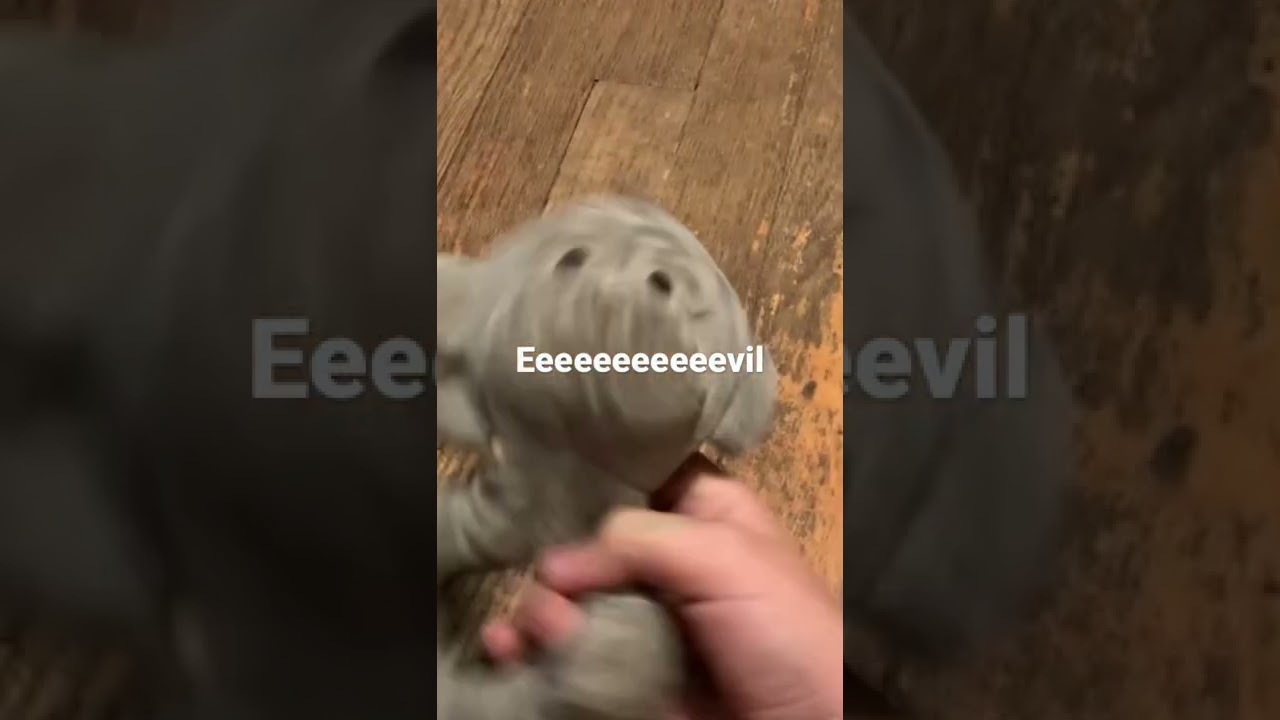 Eeeeeeeevil