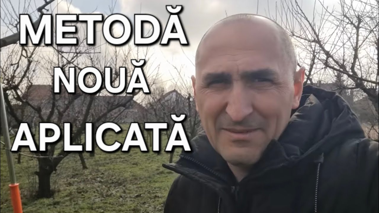 Am tuns livada de cireși din Bătania! CE PAGUGE A LĂSAT ÎNGHEȚUL
