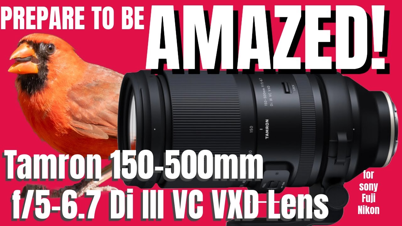 Tamron 150 500mm f5-6.7 Di III : This lens is AMAZING!!