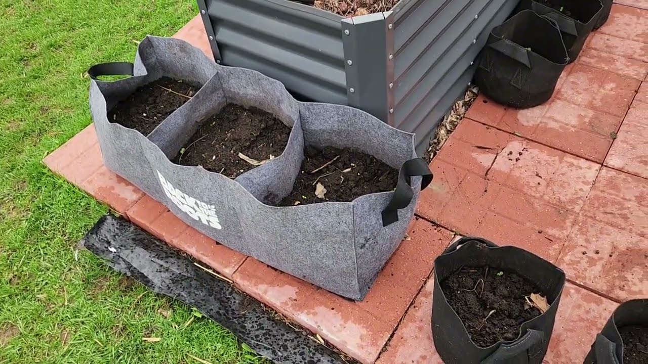 Comparison on Garden Grow Bags | 2 & 3 Gallon Grow Bags | Planting Potatoes in Grow Bags