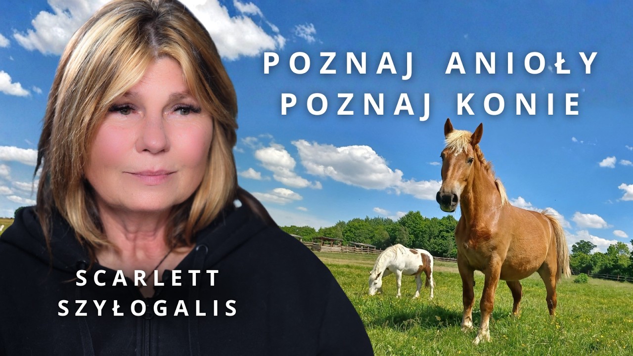 KONIE - Anioły, kt&oacute;re chodzą po ziemi | Scarlett Szyłogalis o koniach i Fundacji TARA