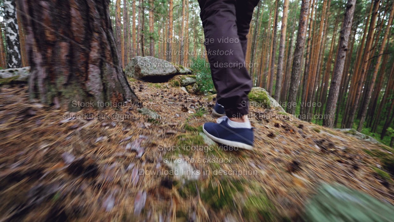 Low angle view of male tourist's legs walking in forest on grass among trees stepping on rocks and