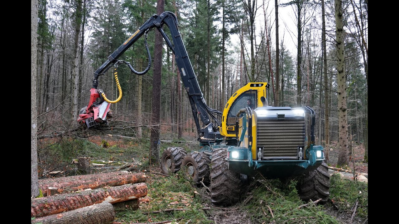 🌲4K| HSM 405 H4 & HSM 208F 18 Tonner • Harvester&Forwarder • Durchforstung • big trees • big machine