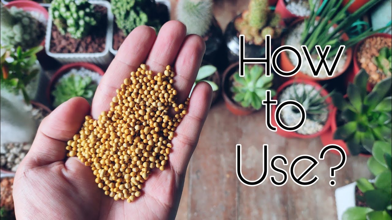 OSMOCOTE FERTILIZER | How to use Osmocote Fertilizer