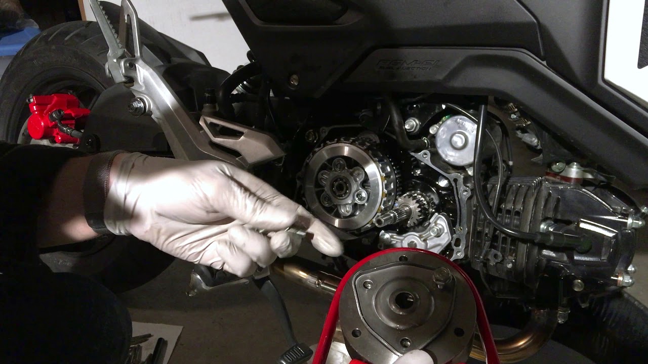 Kitaco Clutch Cover Filter & Sight Glass + Oil Cooler Port Kit Installed on 2019 Honda Grom SF : DIY