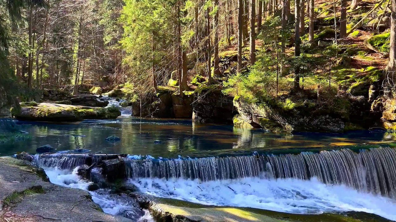 10 Hours Waterfall & Forest River 🌳 Deep White Noise for Sleep & Meditation