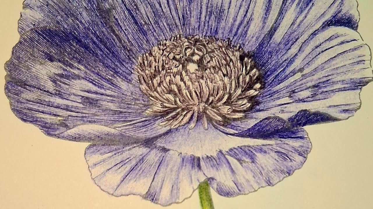 Artist Late Night Snowstorm Coloring Session