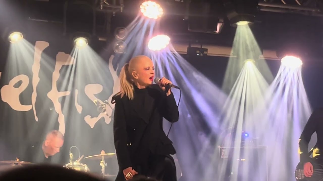 Angelfish-The Sun Won’t Shine (Live)