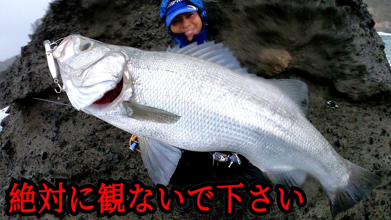 磯ヒラスズキVol⑤攻略マニュアル【モンスター襲来】春爆直前の釣り方