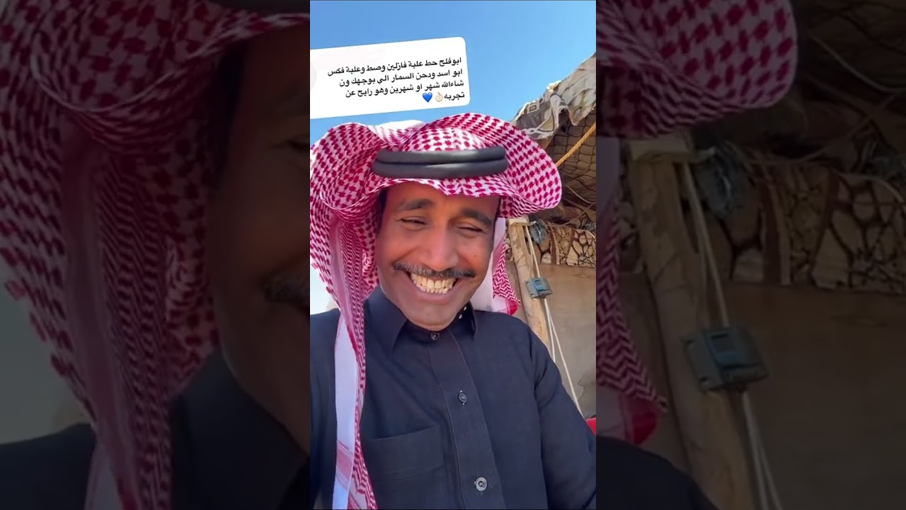 نعجة ام فلاح ( الحمامه )