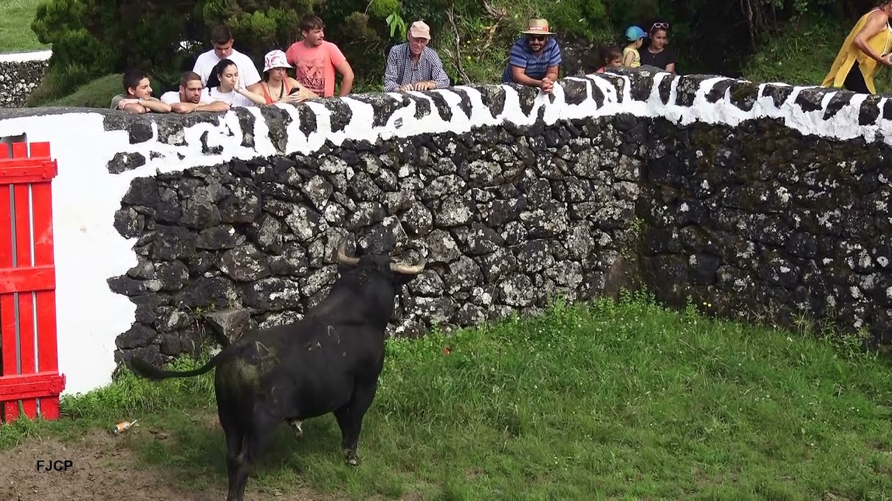 Ganadaria RB - Escolha Dos Touros (Fonte Vila SB & Guarita) - Choosing The Bulls For Bullfights