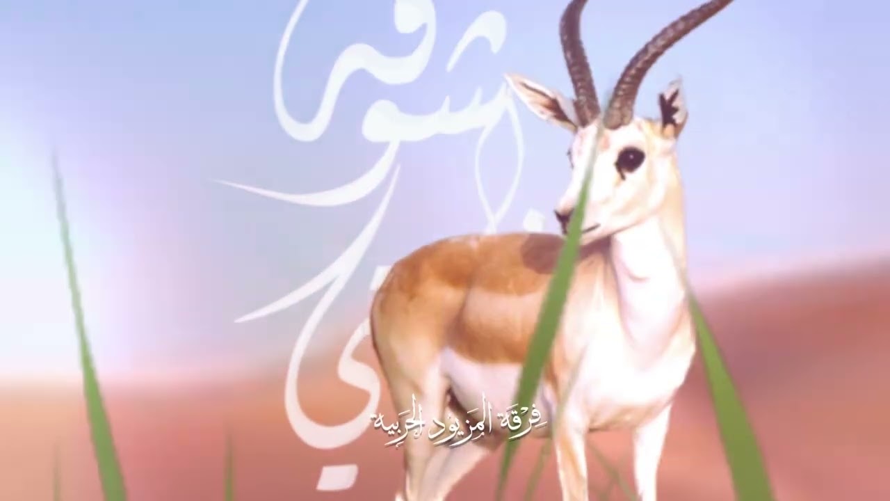 الظبي اليافل - شوفه غايتي - فرقة المزيود الحربية