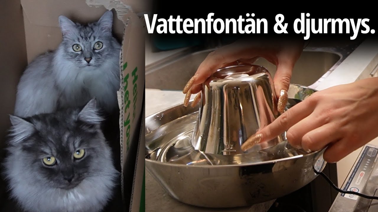 PetSafe Seaside rostfri vattenfontän UNBOXING - MONTERA IHOP - SKÖTSELRÅD & aktiveringsleksaker.