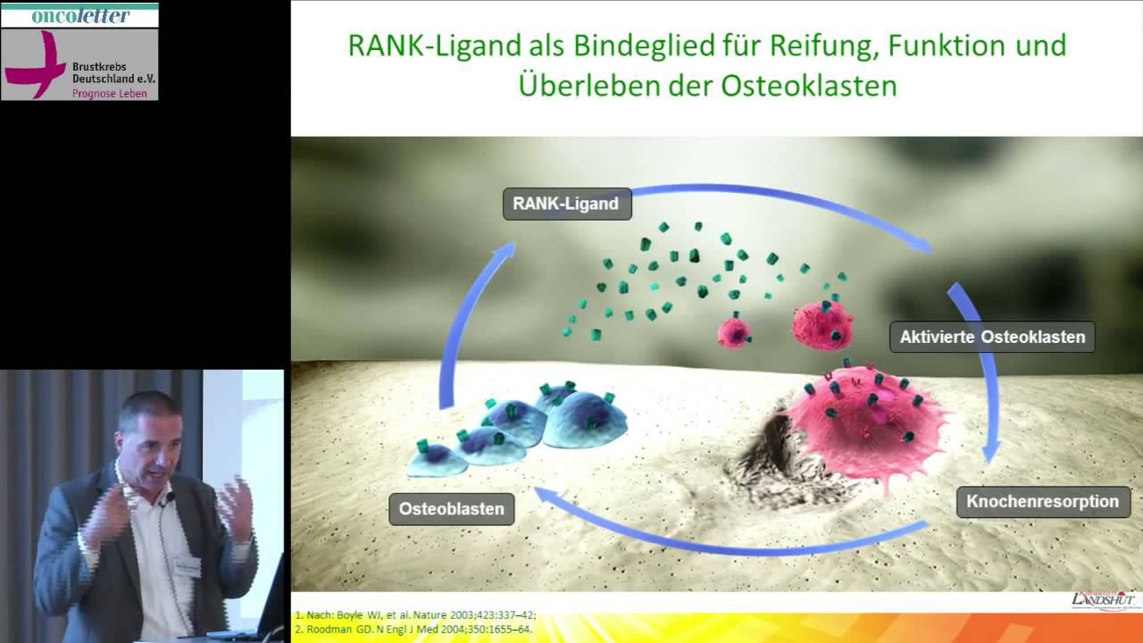 Wissen 2014: 