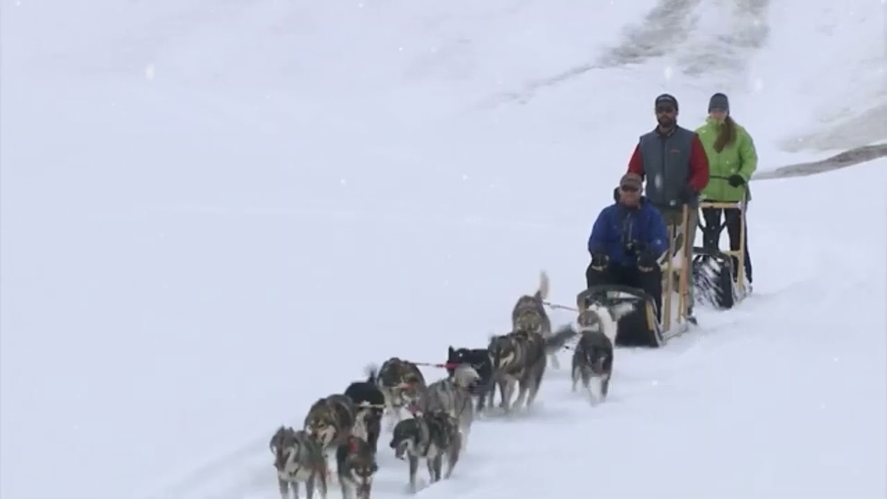 Just Feeling, Enjoy the 🎶 For Calming Soul .Relaxing Nerves And Mind ././