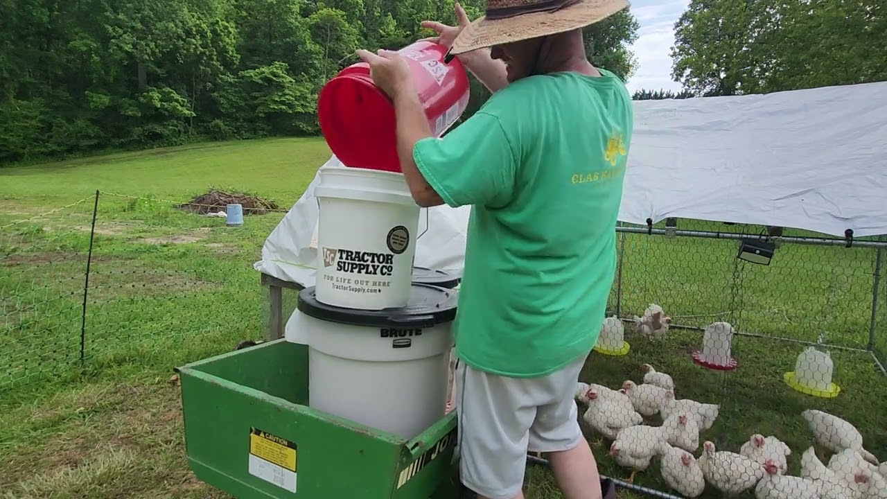 Setting up our Plasson poultry drinker