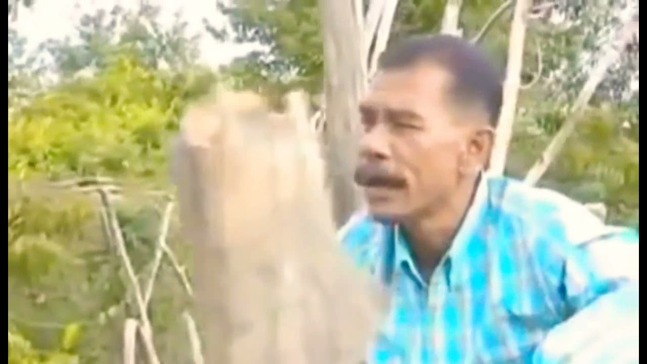 ฮีแตมานิส-บารูดิง[Baruding]