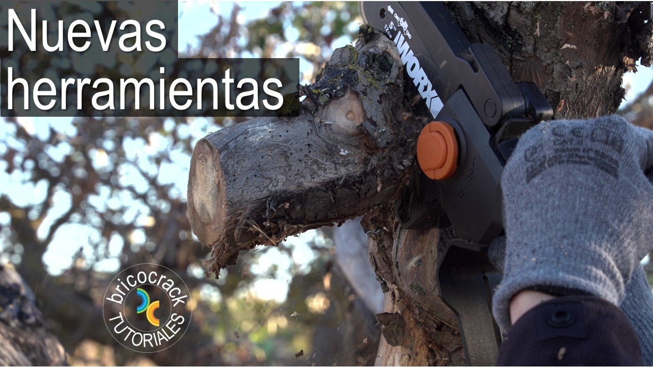 Nuevas herramientas de poda a batería: motosierra de una mano y tijeras (Bricocrack)