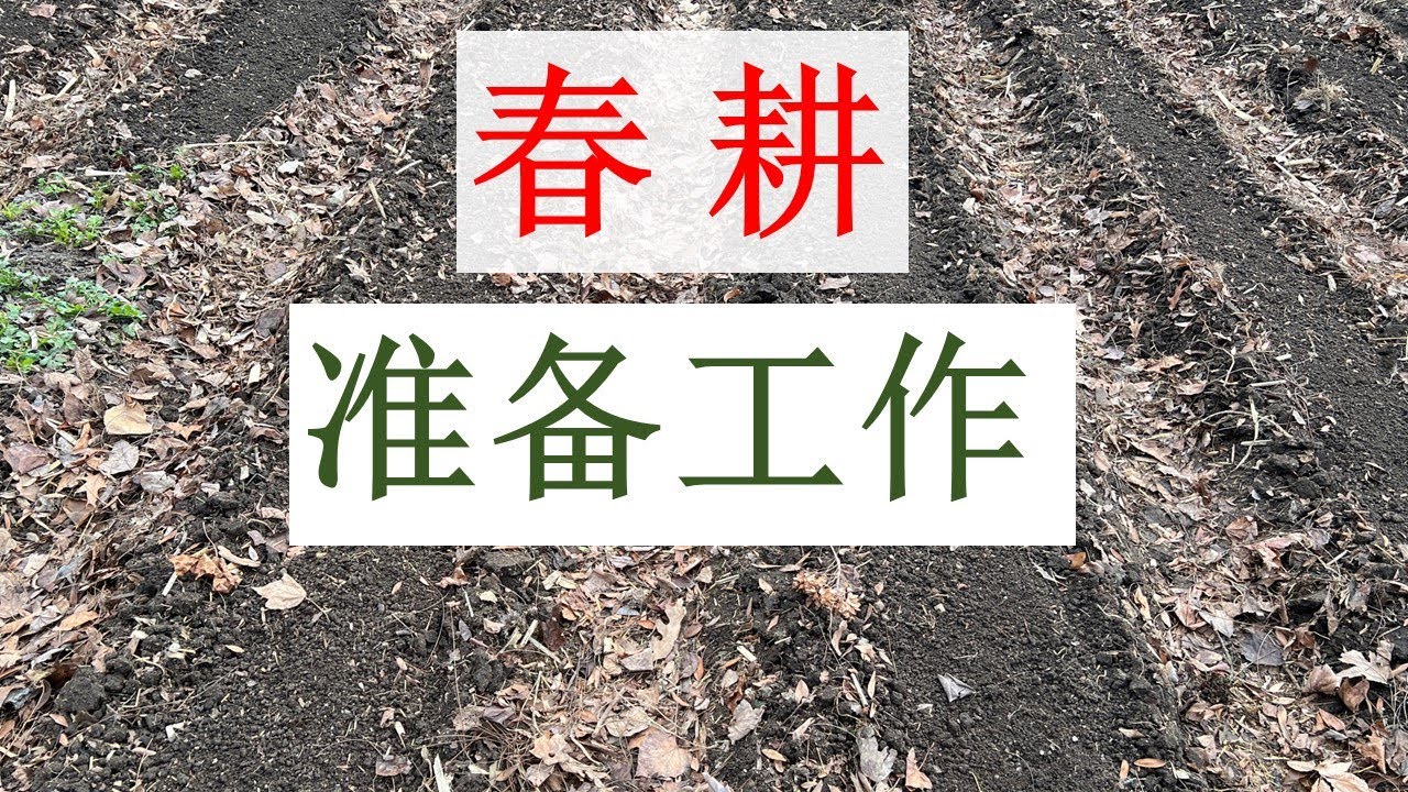庭院种菜高产丰收的关键：春耕准备