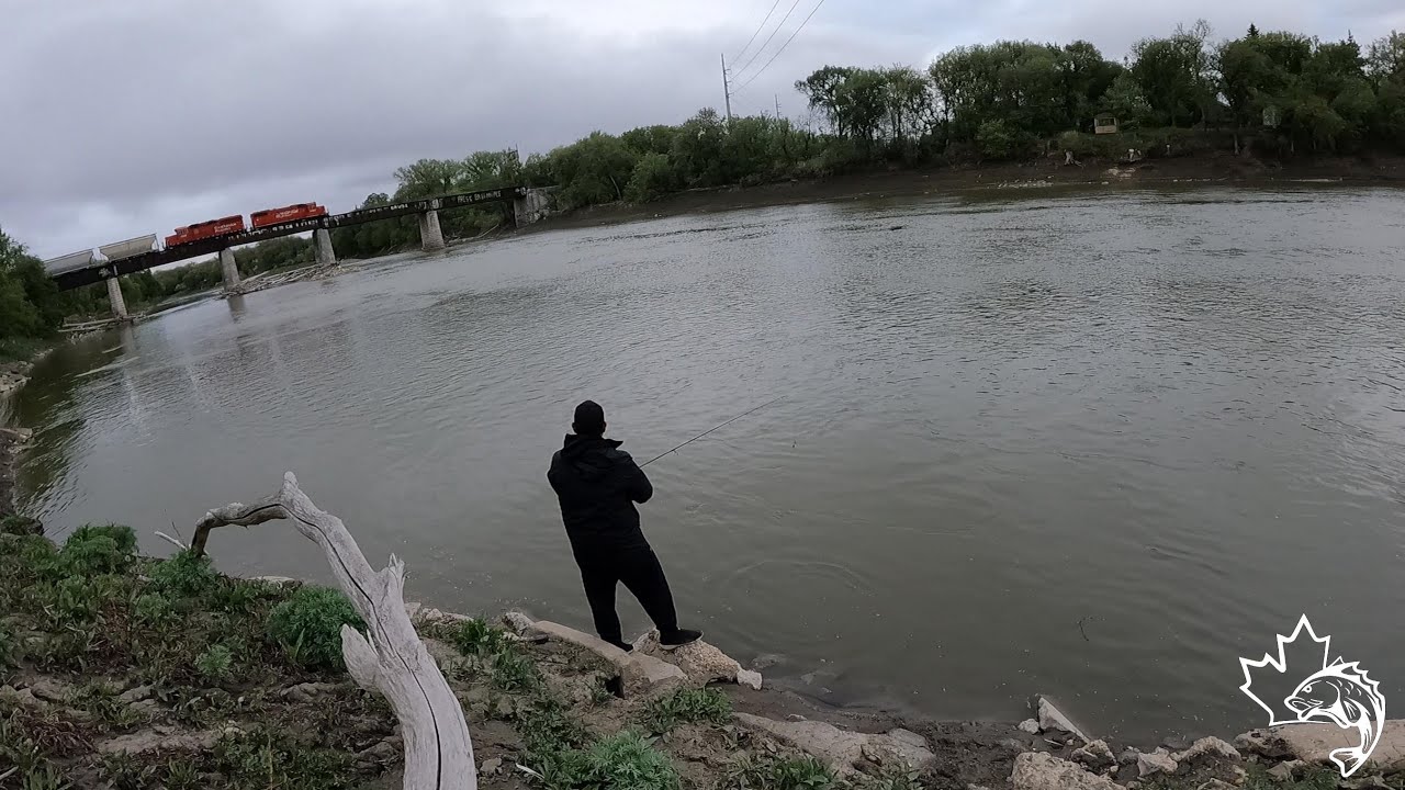 Walk and fish Assiniboine River Winnipeg