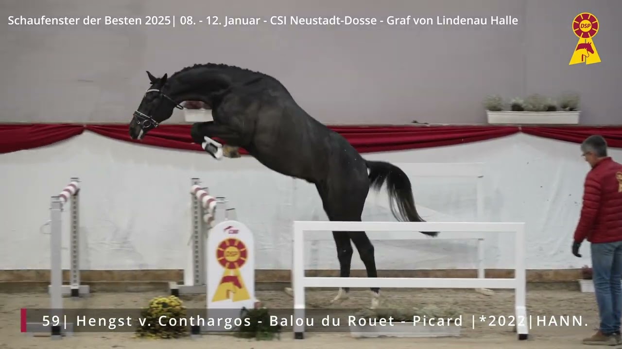 59 Hengst v. Conthargos - Balou du Rouet