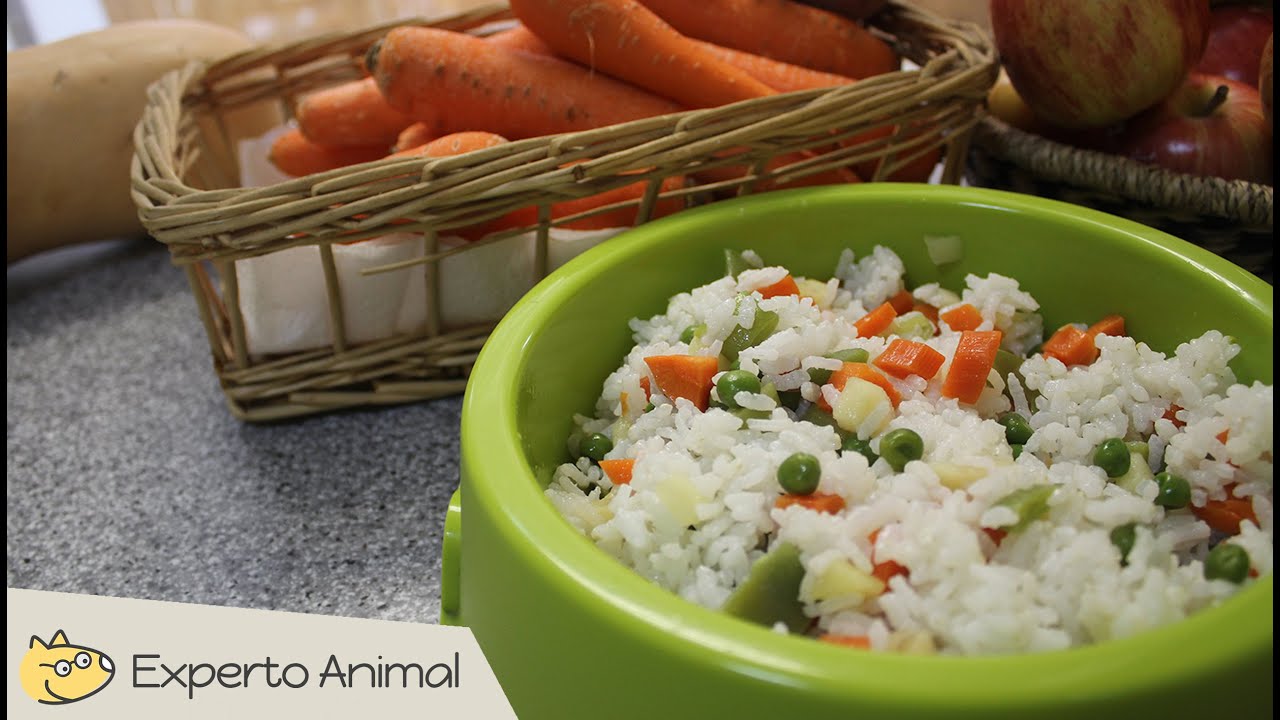 Comida casera para perros - Arroz con verduras