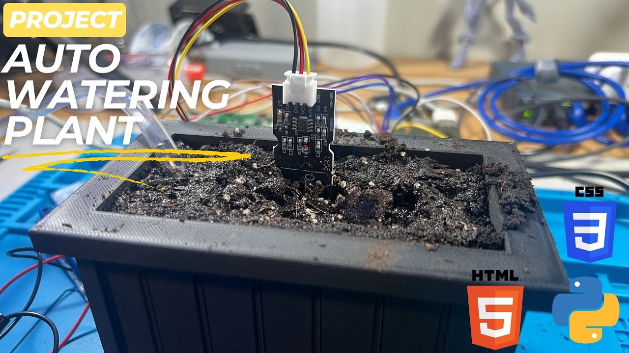 DIY Smart Self-Watering Plant System with Raspberry Pi