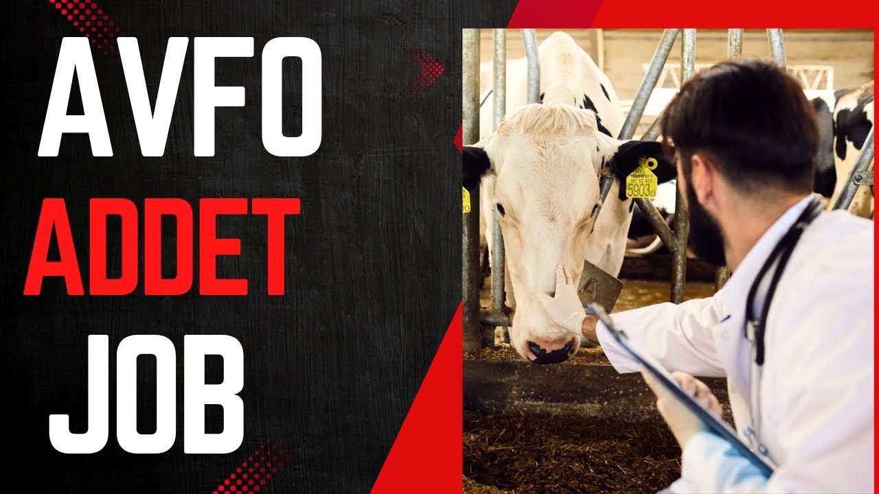 AVFO Vacancy 2025| Assistant Veterinary field officer | Veterinary office 2025 job| #Addet #Diploma