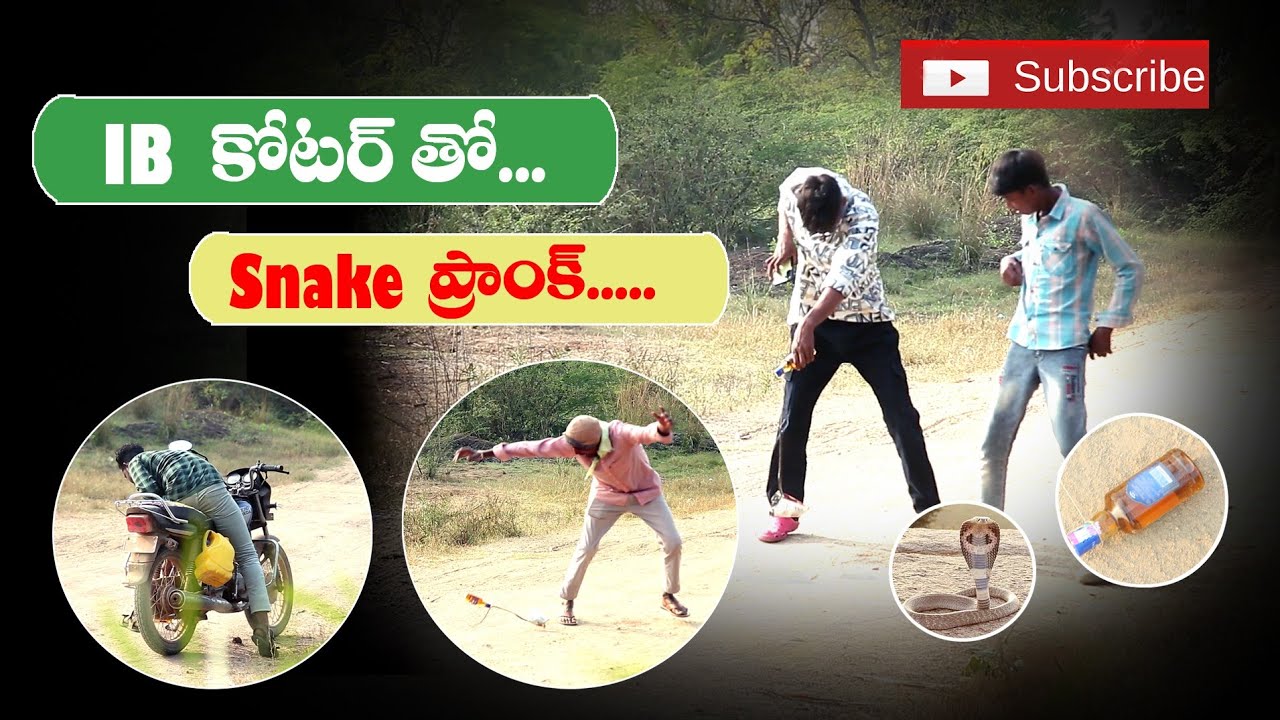 IB  కోటార్ తో snake prank 