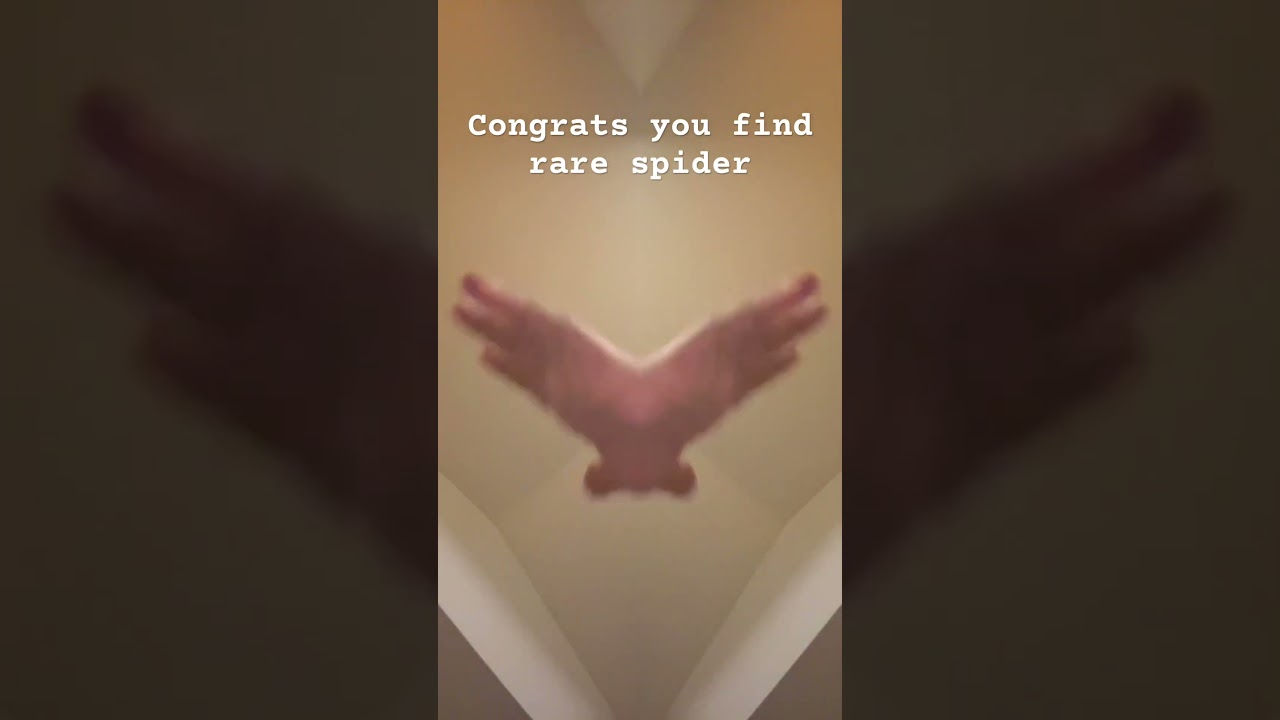 Congrats finding a rare spider. First one comments gets a shout out.