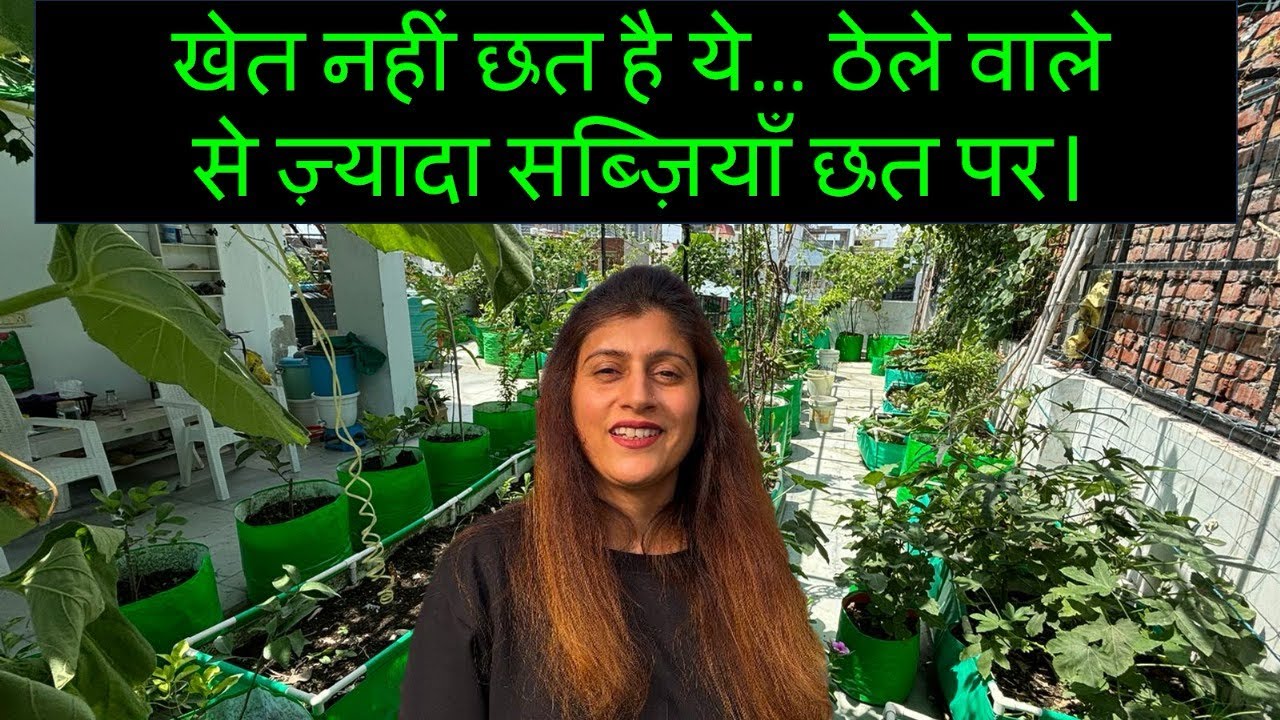 How To Start A Terrace Garden At Low Budget | How To Arange Soil, Seeds ,Grow Bags & Compost| #grow