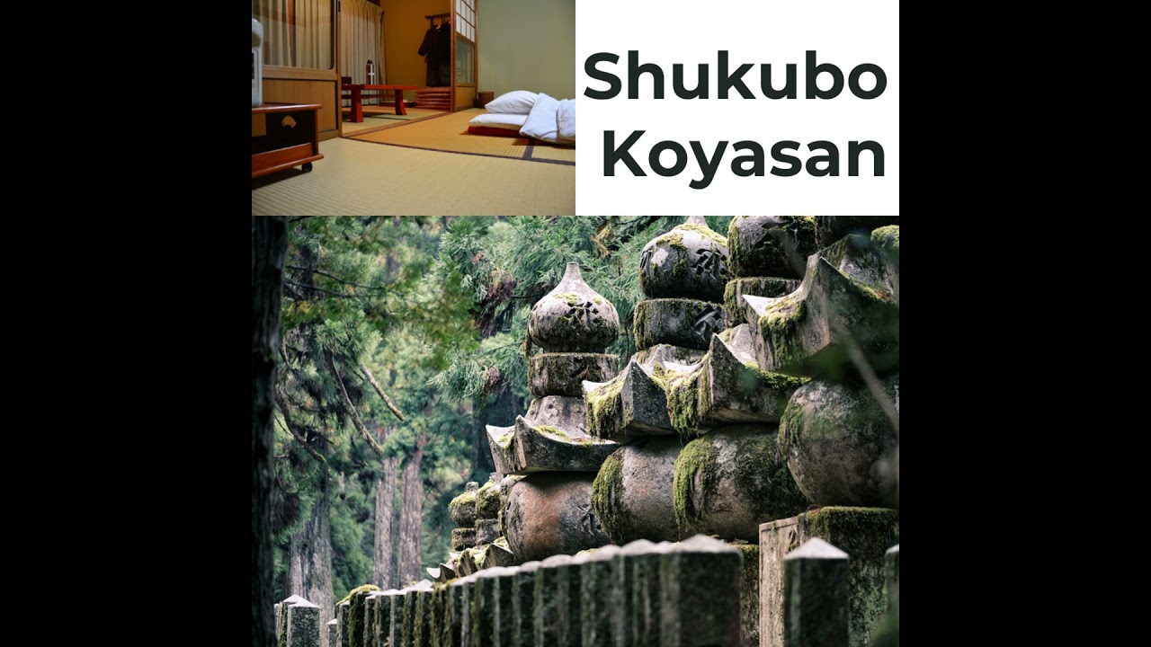 (N5-N3) Spiritual Stay in Koyasan: Essential Phrases for Temple Lodging (Shukubo) - NIHONGO CANDY...