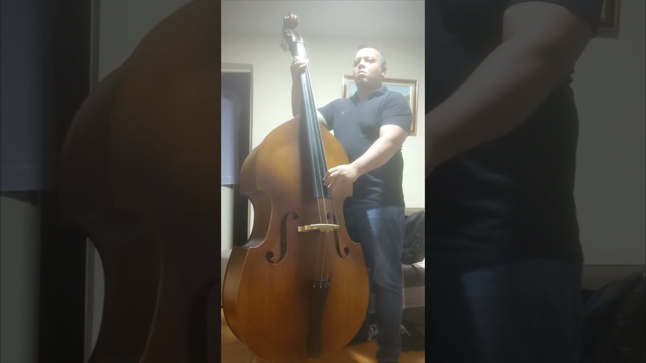 África - Toto (Bass Cover /Double Bass Cover)
