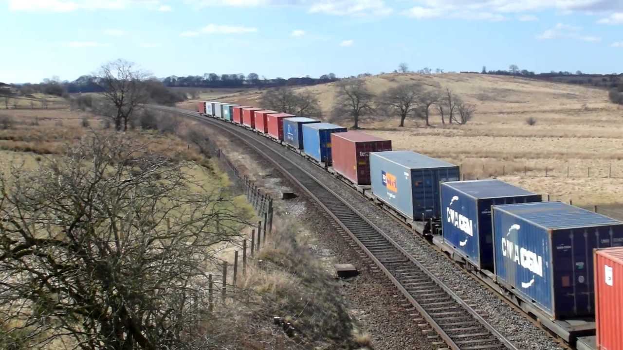 66428