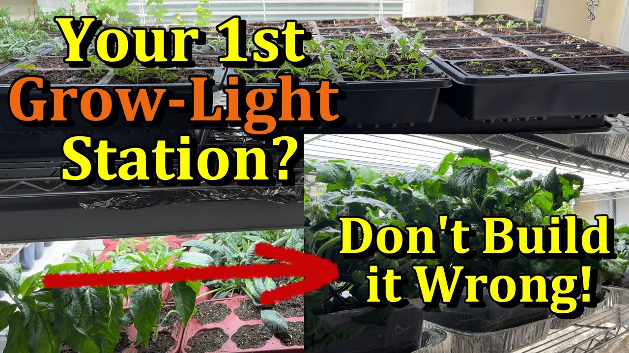 What You Need to Correctly Build Your First Grow-Light Station (Seed Starting & Garden Transplants)