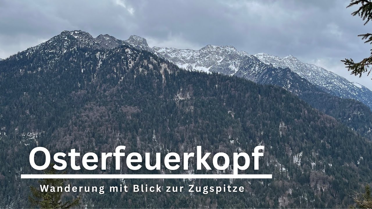 Osterfeuerkopf 1368m | Einsame Wanderung bei Eschenlohe | Blick bis zur Zugspitze
