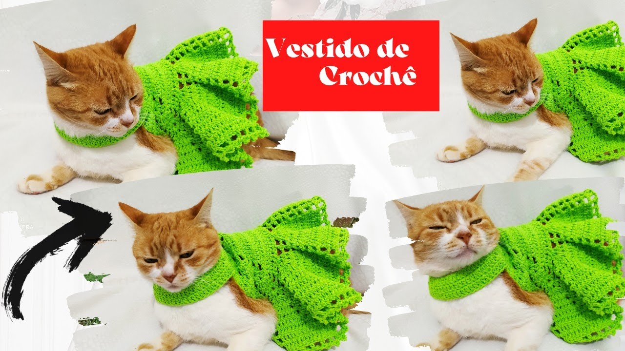 DIY COMO FAZER VESTIDO PARA GATOS OU CACHORRO DE  CROCHÊ