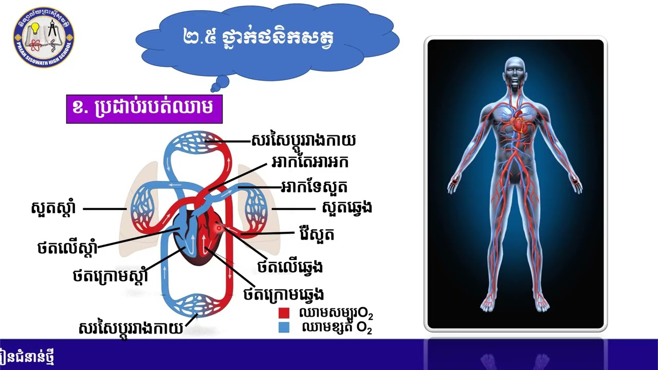 ជីវិទ្យា៖ ថ្នាក់ទី១០៖ ជំពូក១ នានាភាពនៃភាវៈរស់ មេរៀនទី៦ សត្វ(តចប់)
