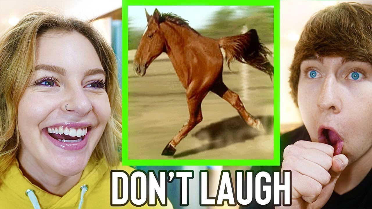 IMPOSSIBLE TRY NOT TO LAUGH