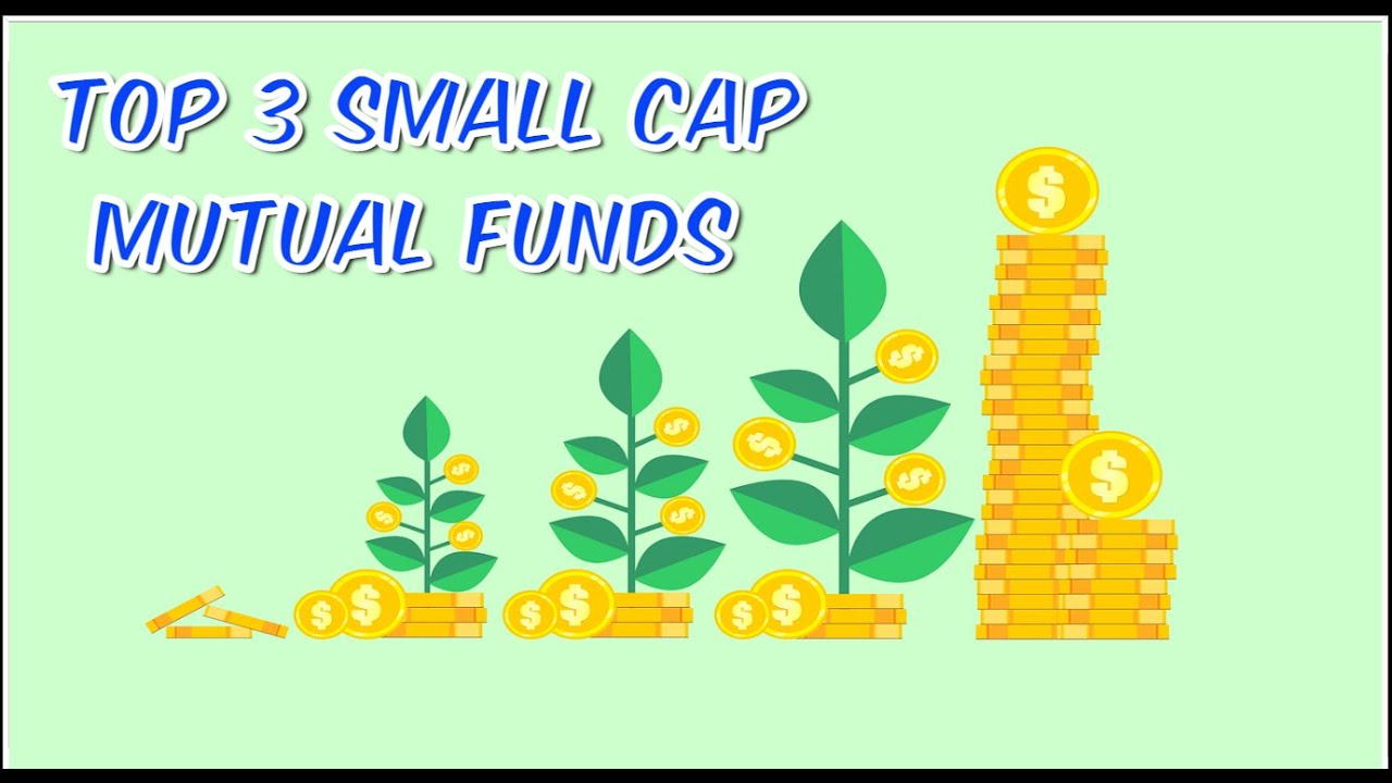 Best Small Cap Mutual Funds in 2024 | Top Small Cap Funds Comparision
