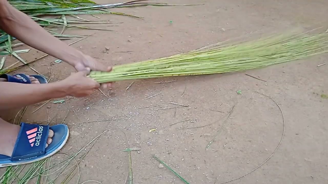 DIY Broom made from Coconut Leaf 🍃 #broom #diy #coconut